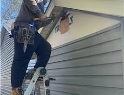 Best Siding Painting and Refinishing  in Lenoir City, TN